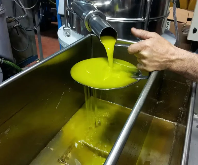 pression-a-froid-olive